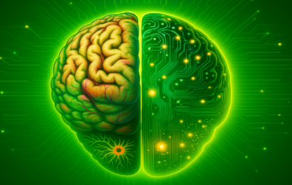 Hvorfor kunstig intelligens aldrig kommer til at styre verden: Hjernen har en superkraft