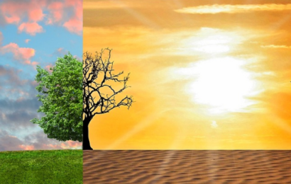 De 6 mest effektive personlige klimatiltag – hvad du selv kan gøre ved klimakrisen