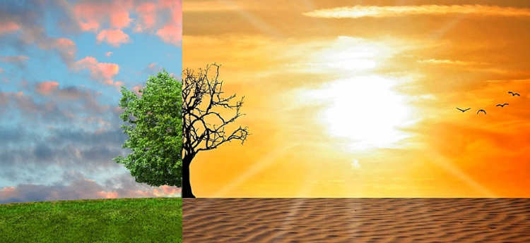 De 6 mest effektive personlige klimatiltag – hvad du selv kan gøre ved klimakrisen