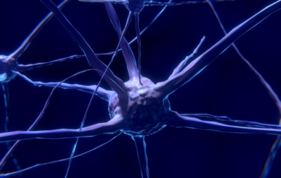 Hvordan man omkabler sin hjerne – ny viden om neuroplasticitet