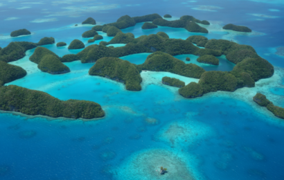 Koralrev i Stillehavet har vist sig at kunne modstå opvarmningen af havene ifølge nyt studie