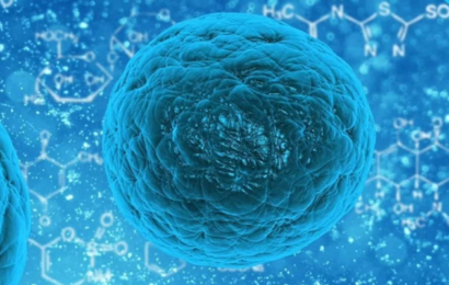 Medicinsk gennembrud: Cellulær foryngelsesterapi kan effektivt vende aldringsprocessen hos mus